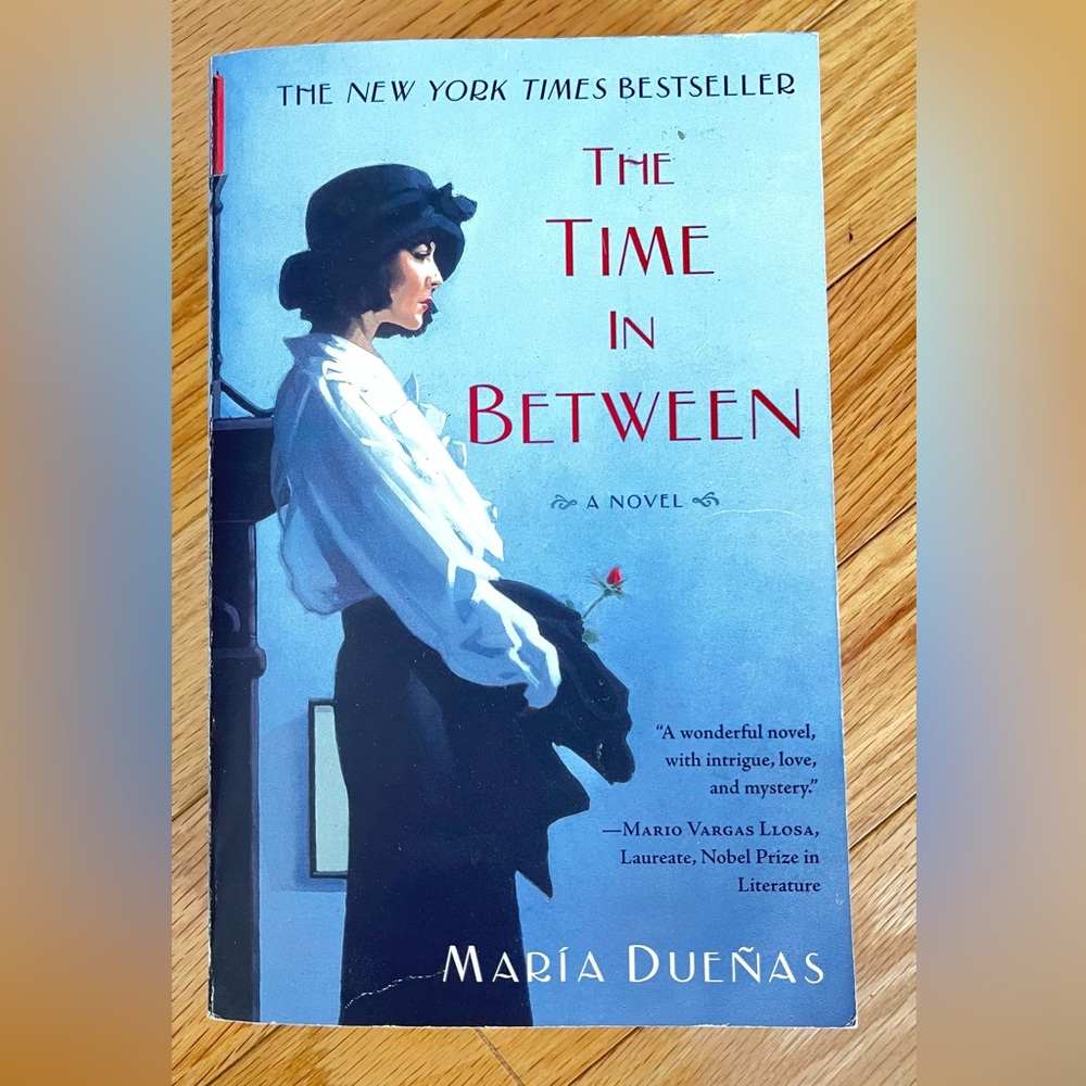 Time In Between Novel